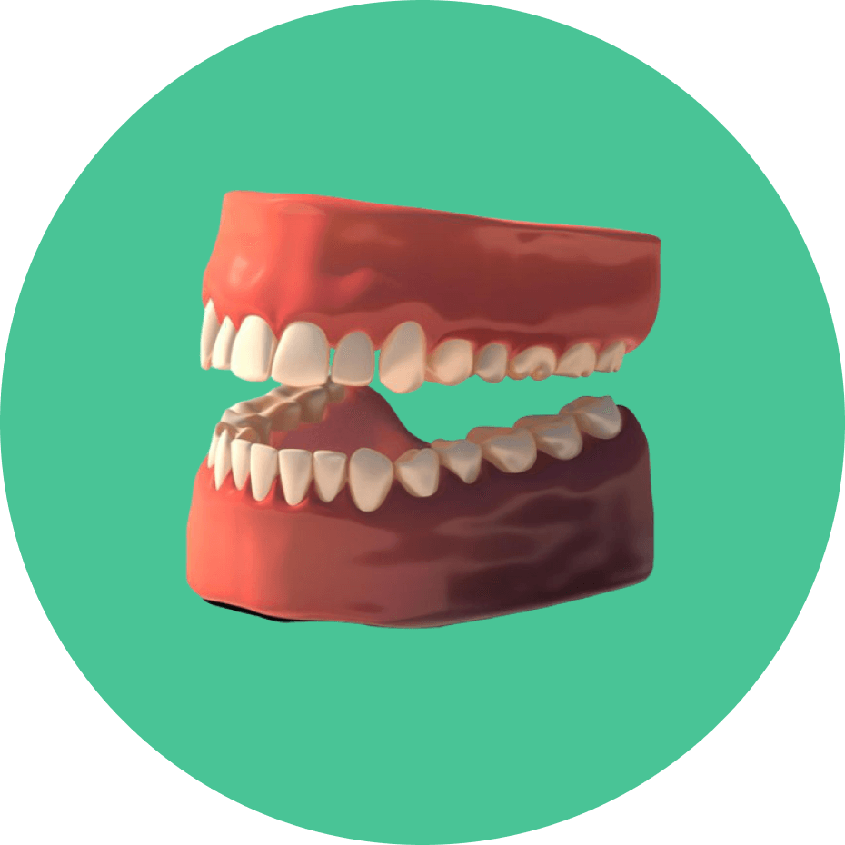 Den Zustand des Zahnfleisches