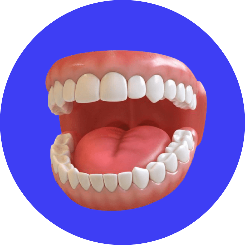 Zustand von Wangen, Zunge und Lippen